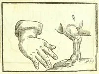 An illustration from Della fisonomia dell'huomo (1613)