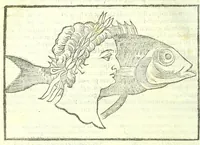 Picture 40 of 56 from Della fisonomia dell'huomo (1613), leaf 274