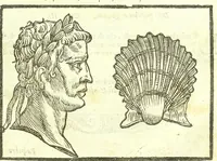 Picture 42 of 56 from Della fisonomia dell'huomo (1613), leaf 279