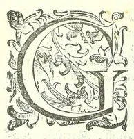 An illustration from Della fisonomia dell'huomo (1613)