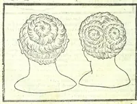 Picture 47 of 56 from Della fisonomia dell'huomo (1613), leaf 342