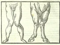 Picture 48 of 56 from Della fisonomia dell'huomo (1613), leaf 376