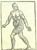 Picture 50 of 56 from Della fisonomia dell'huomo (1613), leaf 439