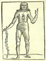 Picture 52 of 56 from Della fisonomia dell'huomo (1613), leaf 456