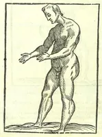 An illustration from Della fisonomia dell'huomo (1613)