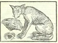 Picture 5 of 56 from Della fisonomia dell'huomo (1613), leaf 57