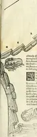 Picture 108 of 210 from Della fortificatione delle città (1564), leaf 138