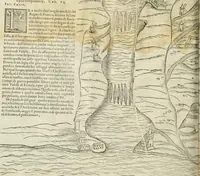 Picture 144 of 210 from Della fortificatione delle città (1564), leaf 175