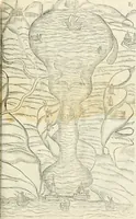 Picture 145 of 210 from Della fortificatione delle città (1564), leaf 176