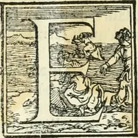 Picture 183 of 210 from Della fortificatione delle città (1564), leaf 238