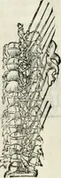 Picture 189 of 210 from Della fortificatione delle città (1564), leaf 253