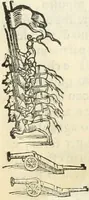 Picture 197 of 210 from Della fortificatione delle città (1564), leaf 274