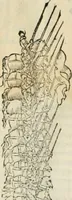 Picture 203 of 210 from Della fortificatione delle città (1564), leaf 277
