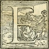 An illustration from Della fortificatione delle città (1564)