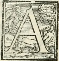Picture 51 of 210 from Della fortificatione delle città (1564), leaf 98