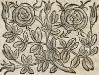 An illustration from Della gverra di Fiandra (1637)