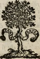 Picture 4 of 25 from Della gverra di Fiandra (1637), leaf 49