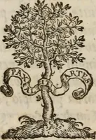 An illustration from Della gverra di Fiandra (1637)