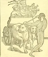Picture 16 of 32 from Della historia di Bologna [parte prima] (1605), leaf 147