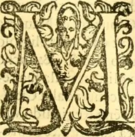 An illustration from Della historia di Bologna [parte prima] (1605)