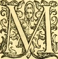 Picture 27 of 32 from Della historia di Bologna [parte prima] (1605), leaf 536
