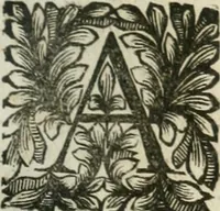 An illustration from Della historia d'Italia. Libri xlvi. Riv. dal medesimo autore, accresciuta e continuata, dall'anno 1625. sino al 1679 (1680)
