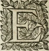 An illustration from Della historia d'Italia. Libri xlvi. Riv. dal medesimo autore, accresciuta e continuata, dall'anno 1625. sino al 1679 (1680)