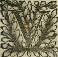 An illustration from Della historia d'Italia. Libri xlvi. Riv. dal medesimo autore, accresciuta e continuata, dall'anno 1625. sino al 1679 (1680)