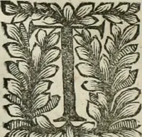 An illustration from Della historia d'Italia. Libri xlvi. Riv. dal medesimo autore, accresciuta e continuata, dall'anno 1625. sino al 1679 (1680)