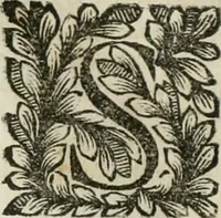 An illustration from Della historia d'Italia. Libri xlvi. Riv. dal medesimo autore, accresciuta e continuata, dall'anno 1625. sino al 1679 (1680)