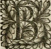 An illustration from Della historia d'Italia. Libri xlvi. Riv. dal medesimo autore, accresciuta e continuata, dall'anno 1625. sino al 1679 (1680)