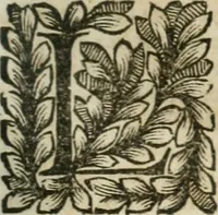 An illustration from Della historia d'Italia. Libri xlvi. Riv. dal medesimo autore, accresciuta e continuata, dall'anno 1625. sino al 1679 (1680)