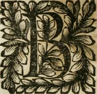 Picture 28 of 79 from Della historia d'Italia. Libri xlvi. Riv. dal medesimo autore, accresciuta e continuata, dall'anno 1625. sino al 1679 (1680), leaf 417
