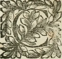 An illustration from Della historia d'Italia. Libri xlvi. Riv. dal medesimo autore, accresciuta e continuata, dall'anno 1625. sino al 1679 (1680)