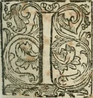 An illustration from Della historia d'Italia. Libri xlvi. Riv. dal medesimo autore, accresciuta e continuata, dall'anno 1625. sino al 1679 (1680)