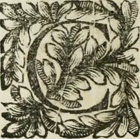 Picture 38 of 79 from Della historia d'Italia. Libri xlvi. Riv. dal medesimo autore, accresciuta e continuata, dall'anno 1625. sino al 1679 (1680), leaf 557