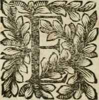 An illustration from Della historia d'Italia. Libri xlvi. Riv. dal medesimo autore, accresciuta e continuata, dall'anno 1625. sino al 1679 (1680)