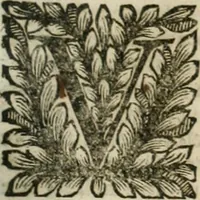 An illustration from Della historia d'Italia. Libri xlvi. Riv. dal medesimo autore, accresciuta e continuata, dall'anno 1625. sino al 1679 (1680)