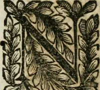 An illustration from Della historia d'Italia. Libri xlvi. Riv. dal medesimo autore, accresciuta e continuata, dall'anno 1625. sino al 1679 (1680)