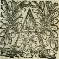 An illustration from Della historia d'Italia. Libri xlvi. Riv. dal medesimo autore, accresciuta e continuata, dall'anno 1625. sino al 1679 (1680)