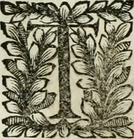 An illustration from Della historia d'Italia. Libri xlvi. Riv. dal medesimo autore, accresciuta e continuata, dall'anno 1625. sino al 1679 (1680)