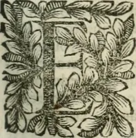 An illustration from Della historia d'Italia. Libri xlvi. Riv. dal medesimo autore, accresciuta e continuata, dall'anno 1625. sino al 1679 (1680)