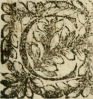 An illustration from Della historia d'Italia. Libri xlvi. Riv. dal medesimo autore, accresciuta e continuata, dall'anno 1625. sino al 1679 (1680)