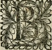 An illustration from Della historia d'Italia. Libri xlvi. Riv. dal medesimo autore, accresciuta e continuata, dall'anno 1625. sino al 1679 (1680)