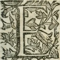 An illustration from Della historia d'Italia. Libri xlvi. Riv. dal medesimo autore, accresciuta e continuata, dall'anno 1625. sino al 1679 (1680)