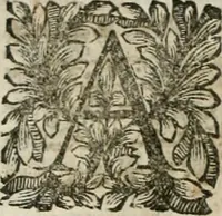 An illustration from Della historia d'Italia. Libri xlvi. Riv. dal medesimo autore, accresciuta e continuata, dall'anno 1625. sino al 1679 (1680)
