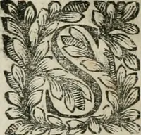 An illustration from Della historia d'Italia. Libri xlvi. Riv. dal medesimo autore, accresciuta e continuata, dall'anno 1625. sino al 1679 (1680)