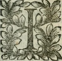 An illustration from Della historia d'Italia. Libri xlvi. Riv. dal medesimo autore, accresciuta e continuata, dall'anno 1625. sino al 1679 (1680)