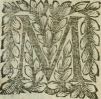Picture 71 of 79 from Della historia d'Italia. Libri xlvi. Riv. dal medesimo autore, accresciuta e continuata, dall'anno 1625. sino al 1679 (1680), leaf 964