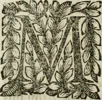 An illustration from Della historia d'Italia. Libri xlvi. Riv. dal medesimo autore, accresciuta e continuata, dall'anno 1625. sino al 1679 (1680)